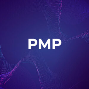 PMP Foundation Project Management Certification Course