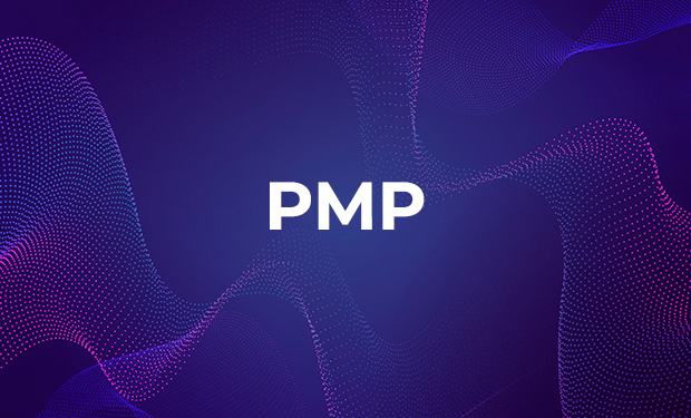 PMP Foundation Project Management Certification Course