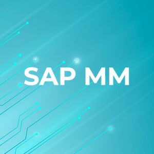 SAP MM (Material Management) Training