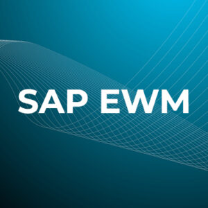 SAP Extended Warehouse Management(EWM) Training