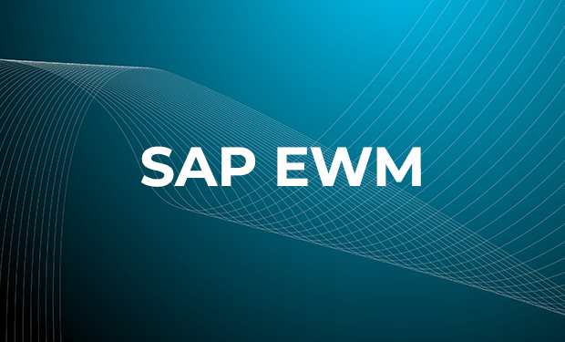 SAP Extended Warehouse Management(EWM) Training